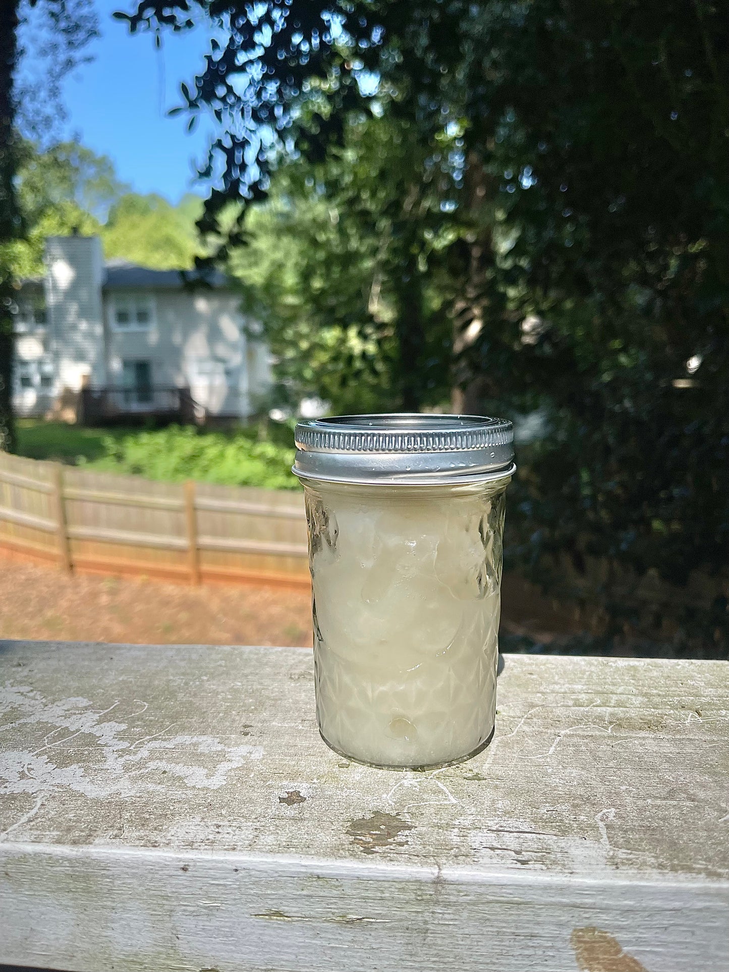Wildcrafted Sea Moss Gel