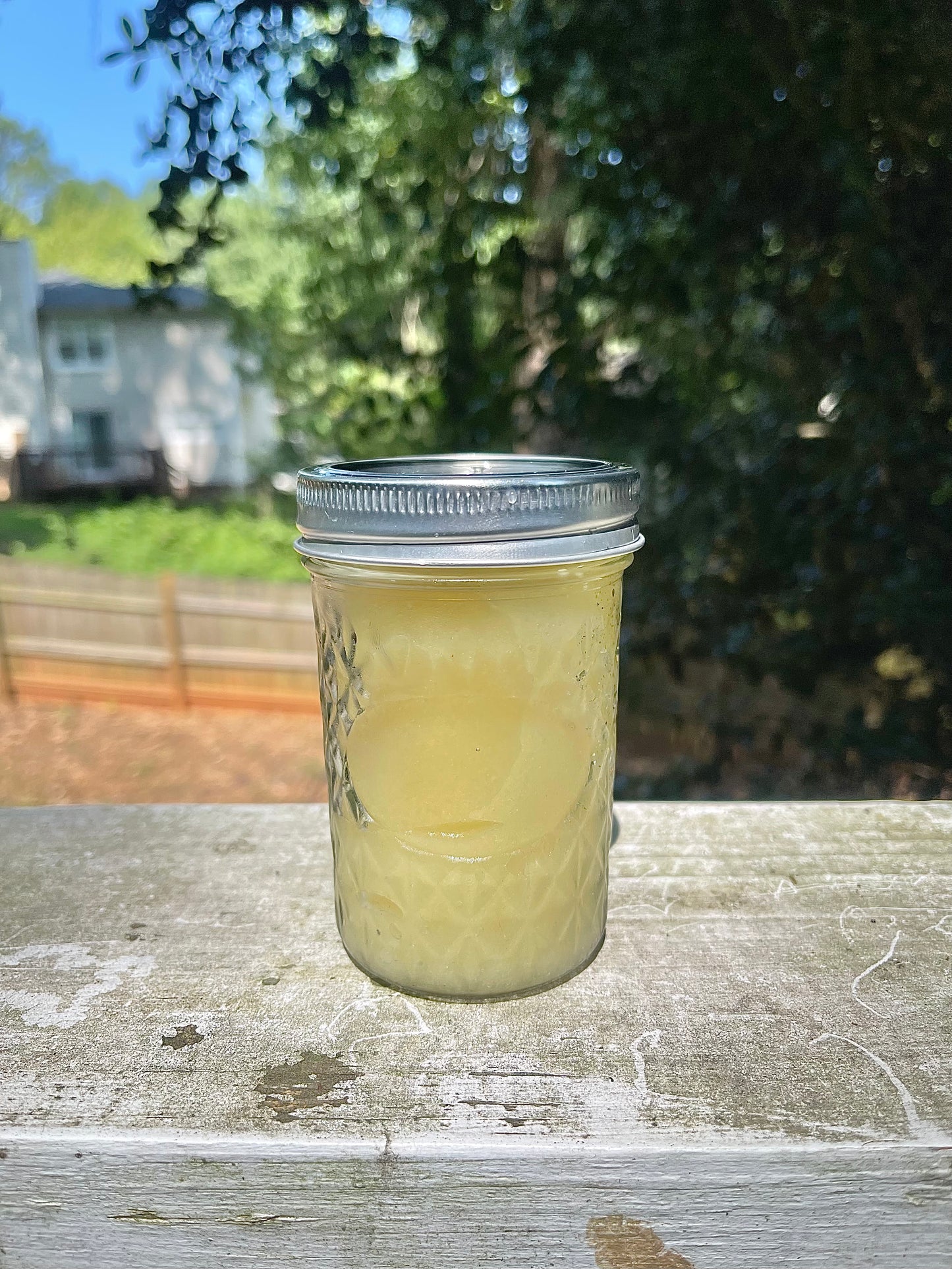 Wildcrafted Sea Moss Gel