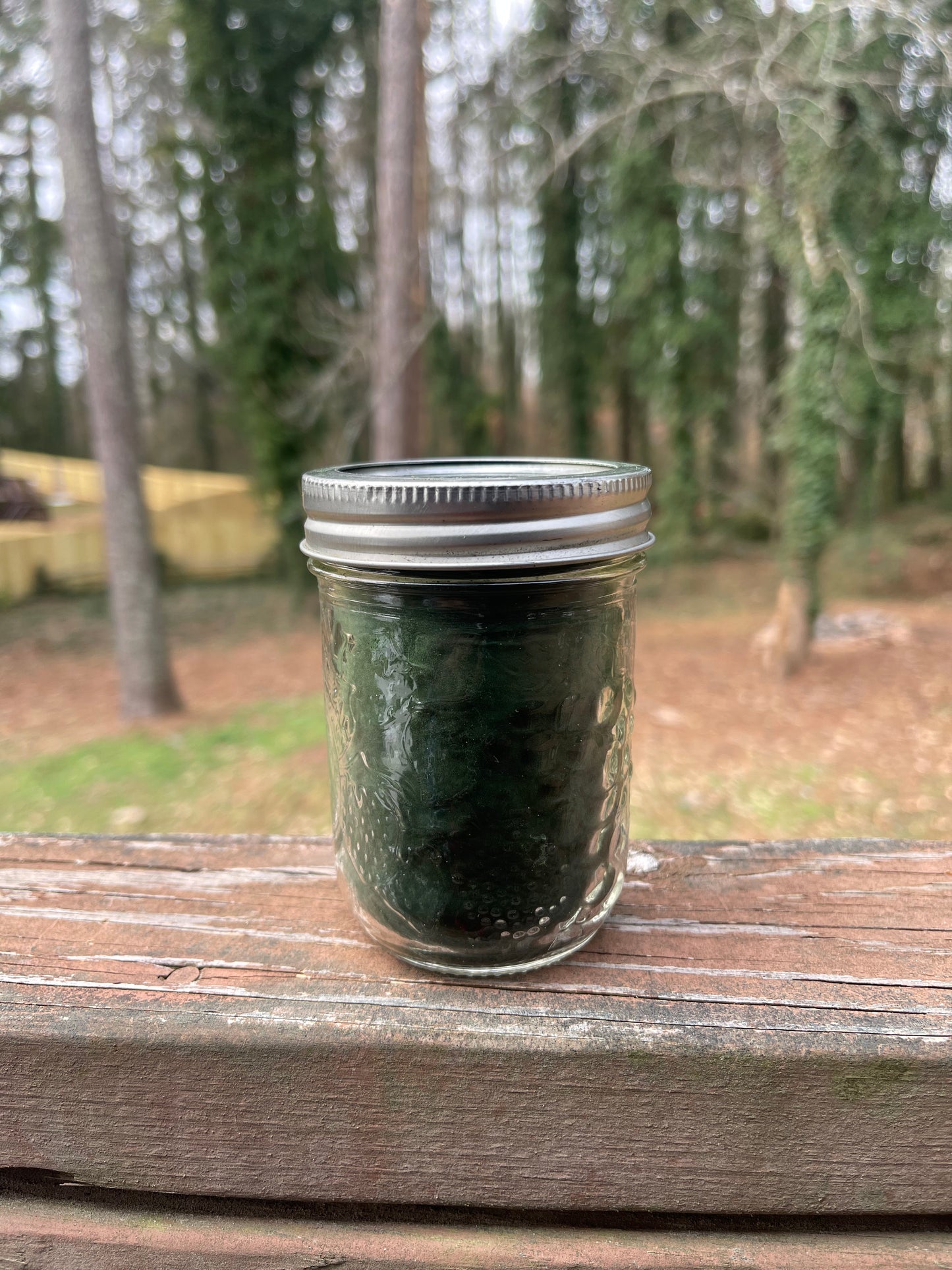 Spirulina Powder