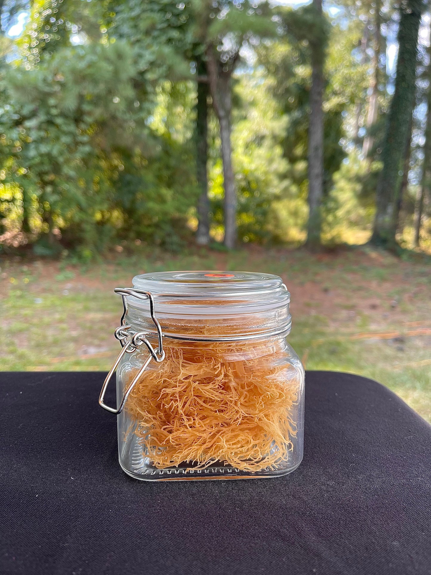Dried Wild Crafted Sea Moss