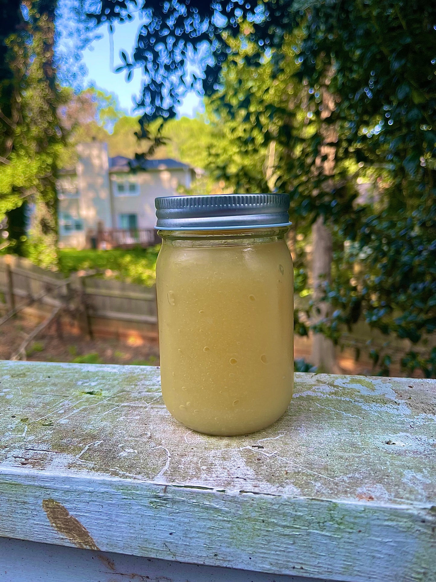 Wildcrafted Sea Moss Gel