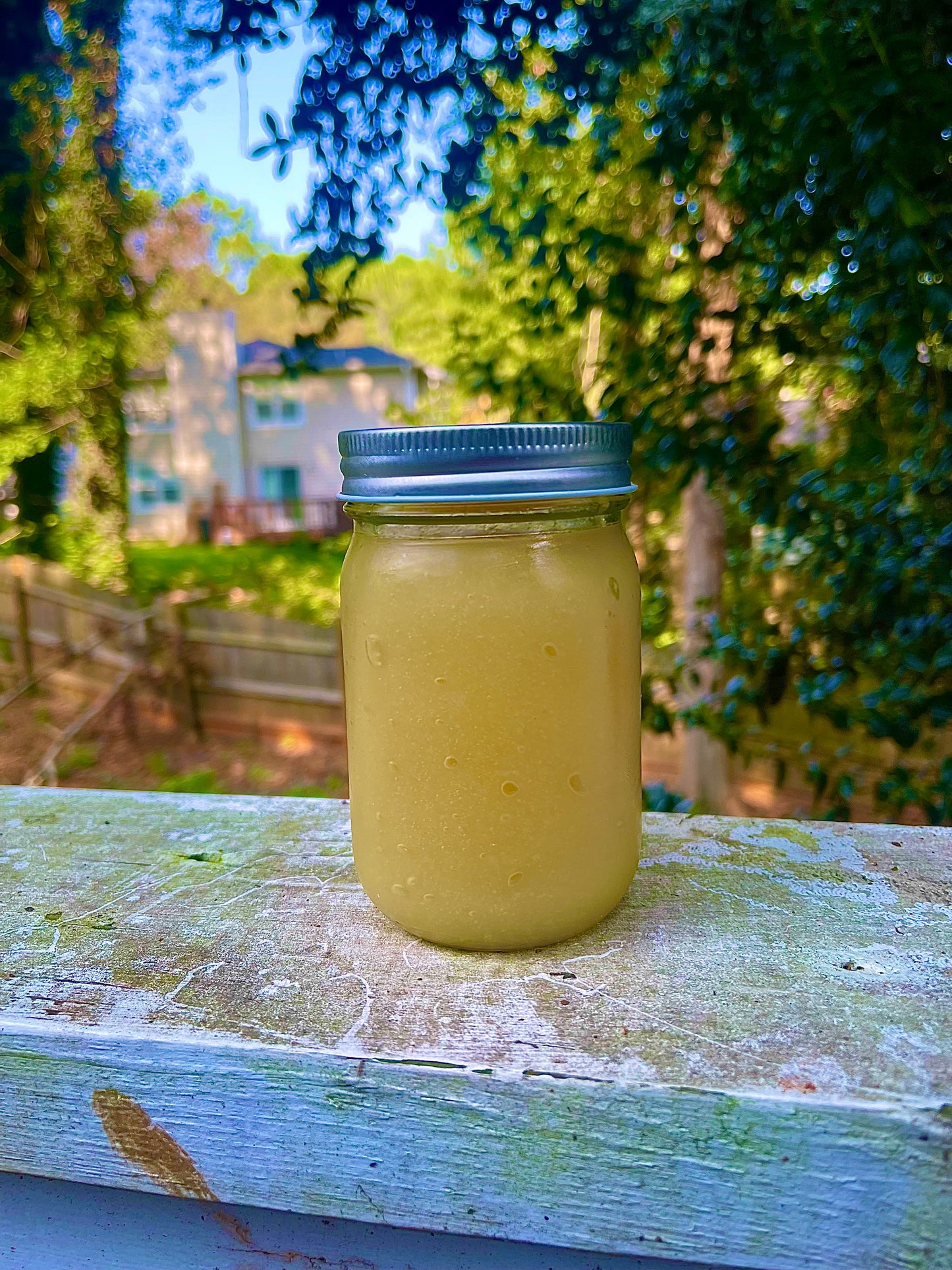 Wildcrafted Sea Moss Gel