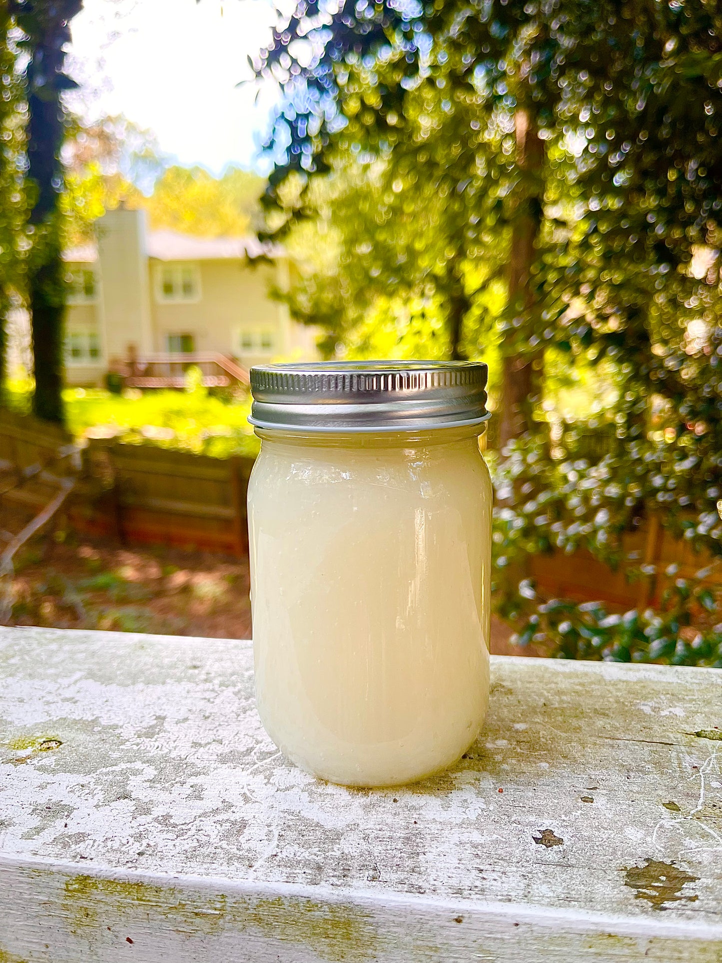 Wildcrafted Sea Moss Gel