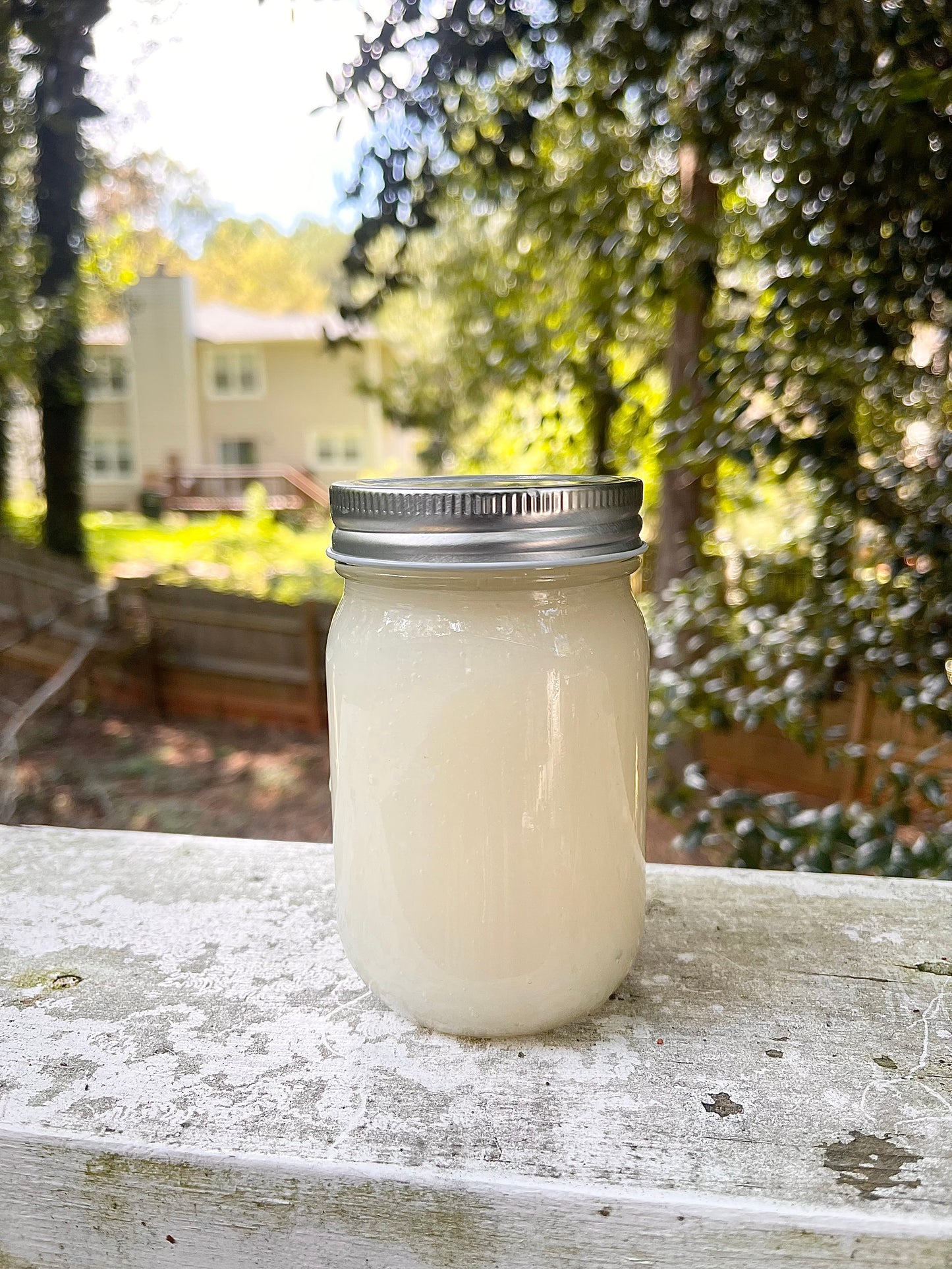 Wildcrafted Sea Moss Gel