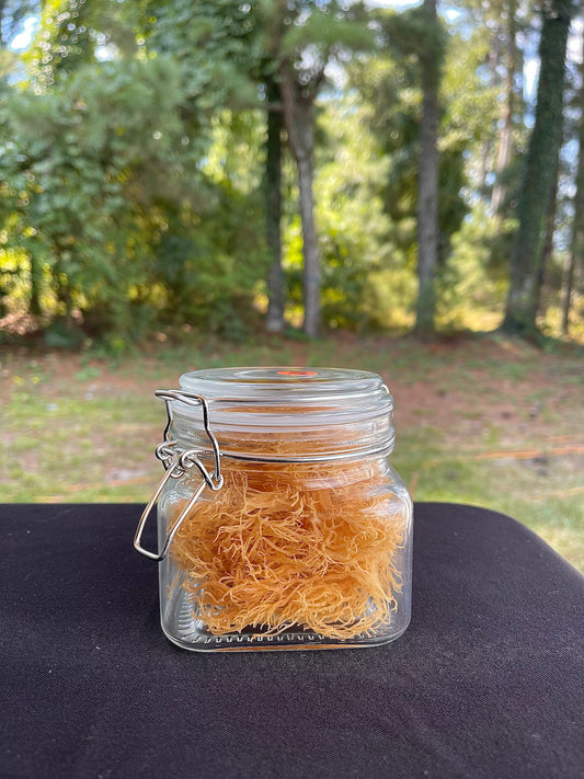 Dried Wild Crafted Sea Moss