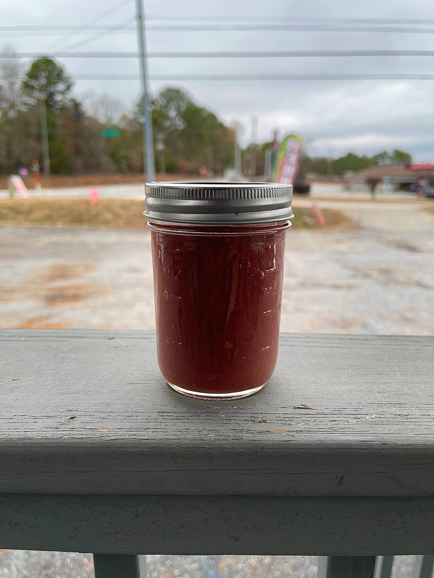 Wildcrafted Purple Sea Moss Gel